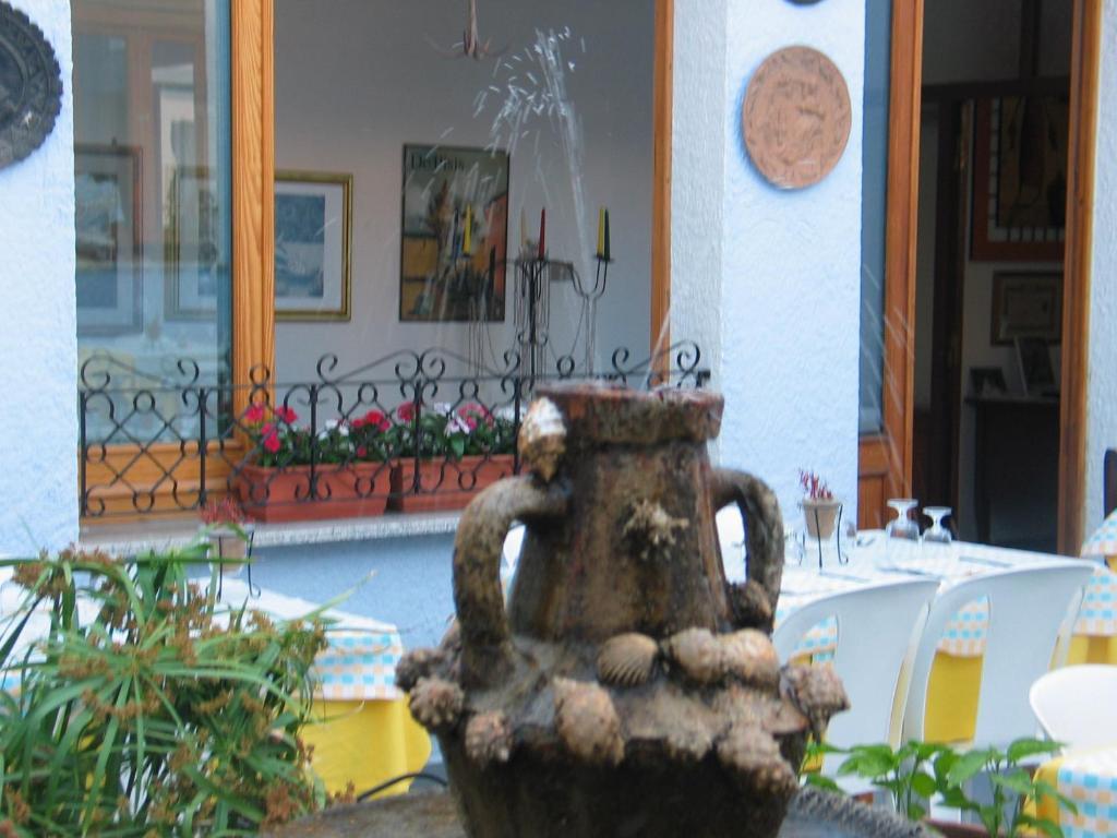 Stella D'oro